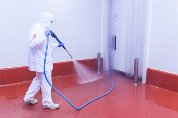 Best Pre-Holiday Cleaning  in St Marys, PA